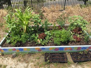 lakeview-child-care-garden-3
