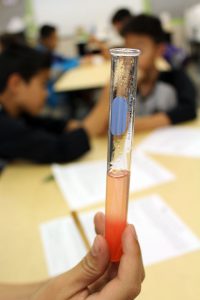 lakeview-dna-science-4