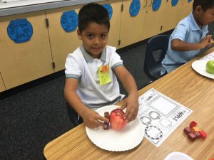 rio-vista-kindergarten-apples-3