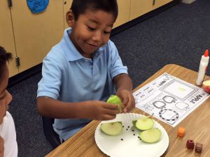 rio-vista-kindergarten-apples-4