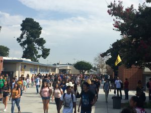 Valencia High School's campus is covered in college flags.