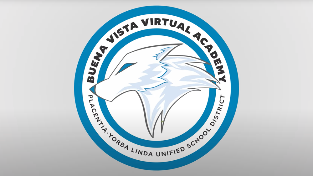 Buena Vista Virtual Academy.