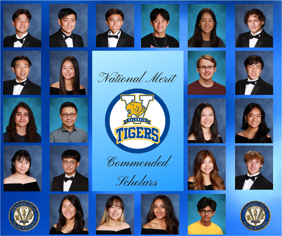 VHS Commended Scholars