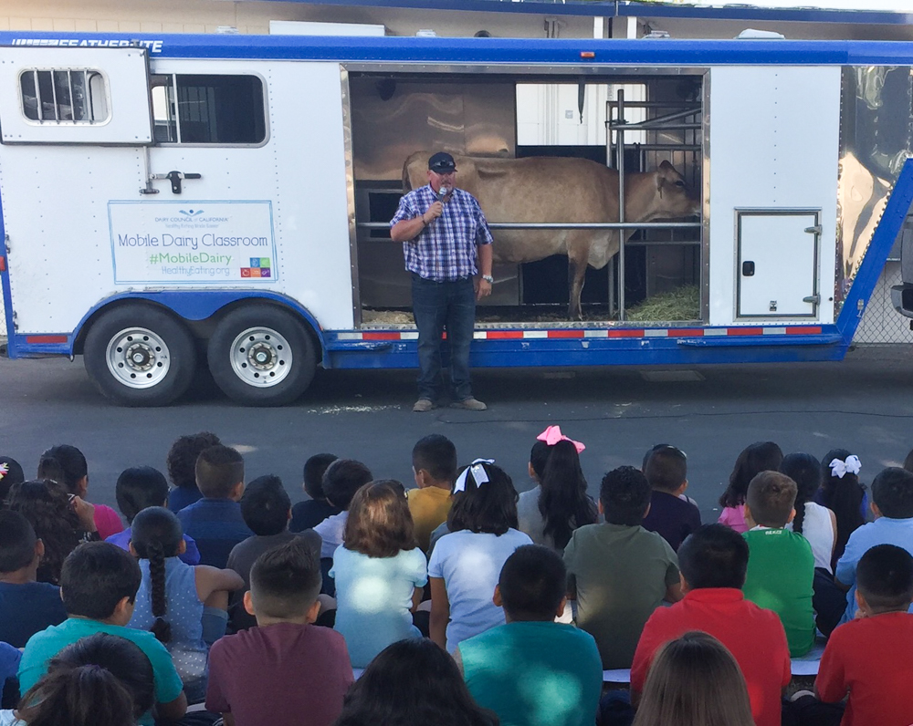 Ruby Drive Elementary students learn from a dairy farmer and observe a real cow.
