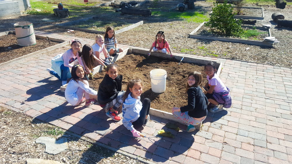 Glenknoll students enjoying the school's garden club.