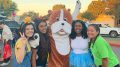Glenview Trunk or Treat